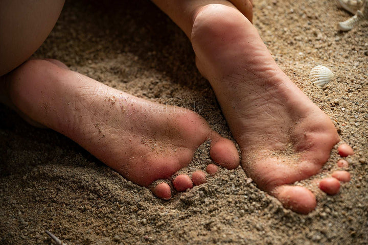 LIN0359 671445ab 2b6a 45bf b05f ee6e210c01be